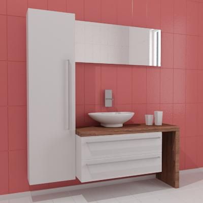 3d-model_Bathroom_furniture_Eurolegno_02