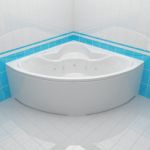 Bath 3d-model BAS Drova 160x160