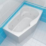 Bath 3d-model Hansgrohe Pharo Moneva 300 150x90 R