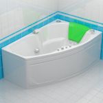 Bath 3d-model Triton Briz 150x95 L