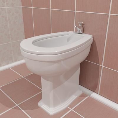 Qualitative_3D-model_of_bidet_07