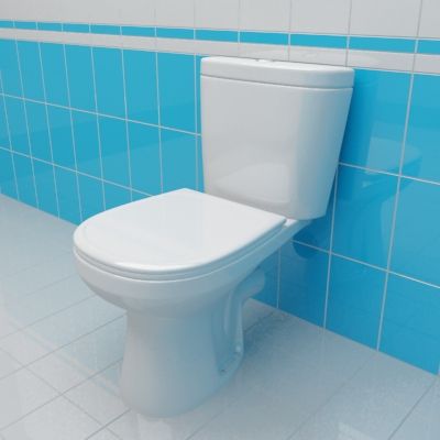 Toilet 3d-model Santek Animo 42x63