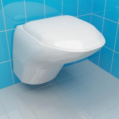 WC_pan_3d-model_Vitra_Freedom