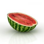 Melon 3D - model